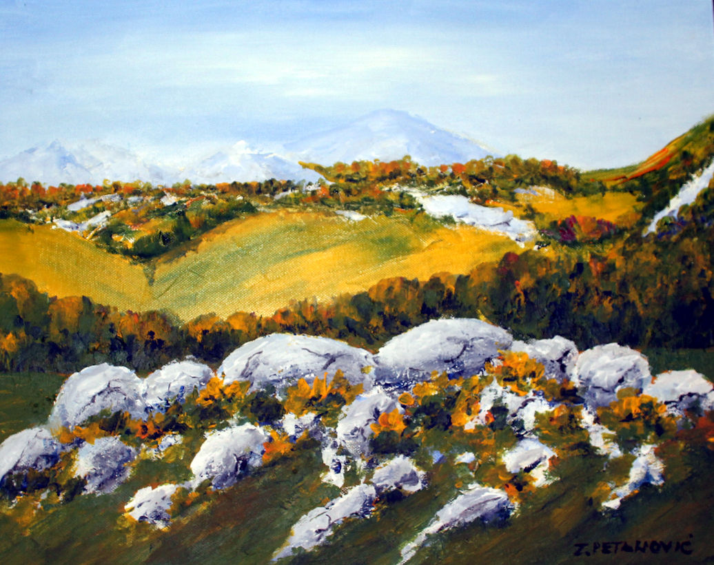 Zvonko Petanović Slavonski Brod